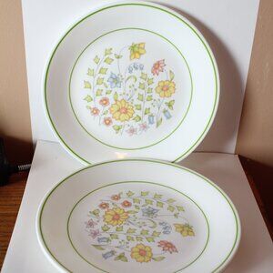 🍁5/$25🎃 Corelle Meadow Lot of 3 Salad Plates 8.5"